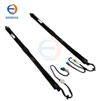 Electric tailgate struts L/R for Porsche Panamera 2010-2016 97051257312 97051257314 97051257318 97051257320